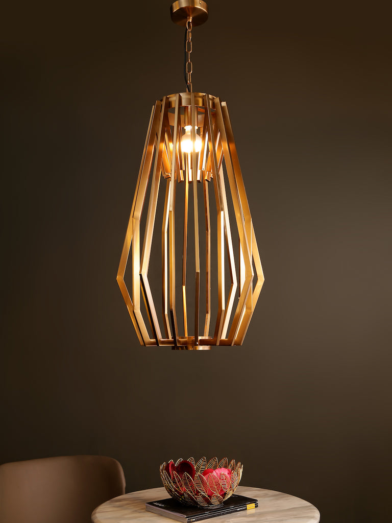 Willow Geometric Cage Hanging Light | Buy Modern Chandeliers Online India