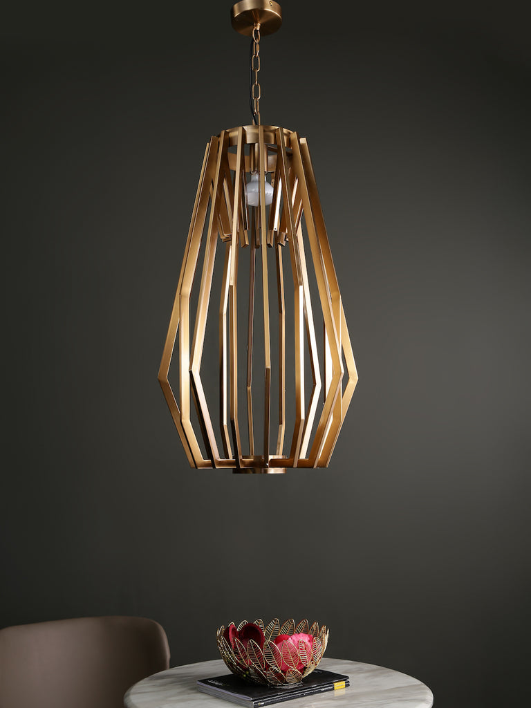 Willow Geometric Cage Hanging Light | Buy Modern Chandeliers Online India