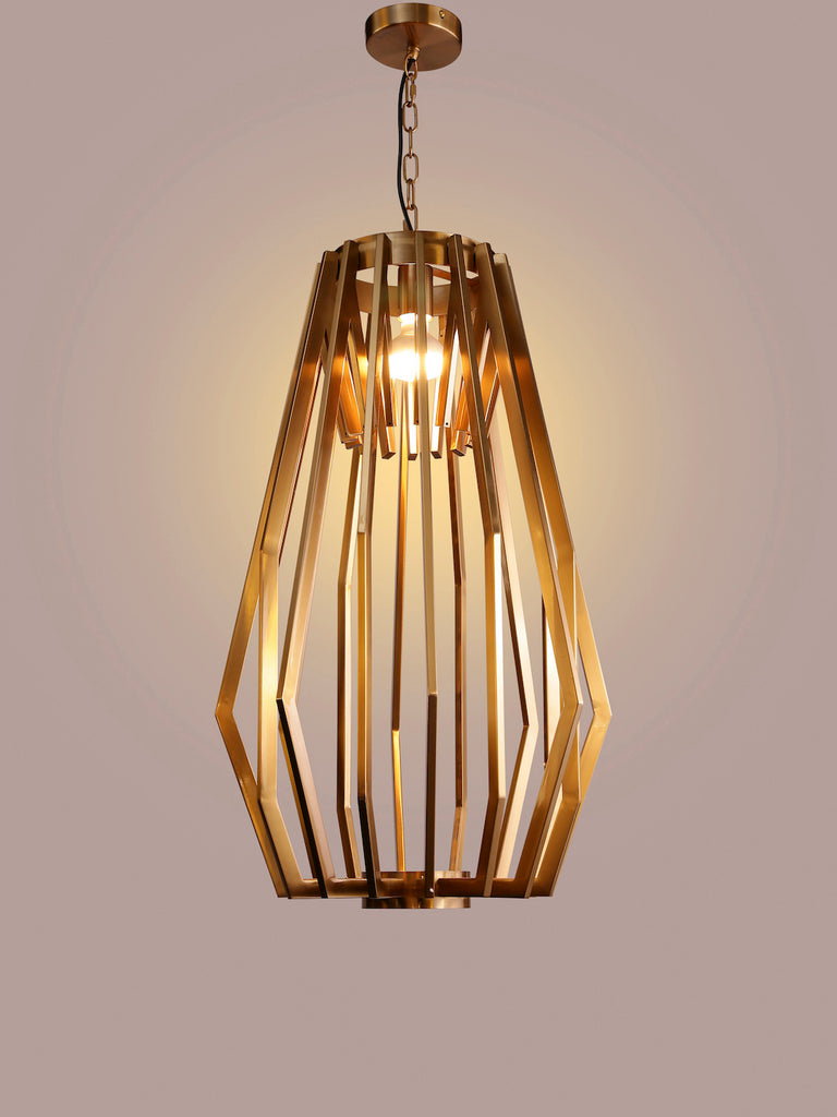 Willow Geometric Cage Hanging Light | Buy Modern Chandeliers Online India