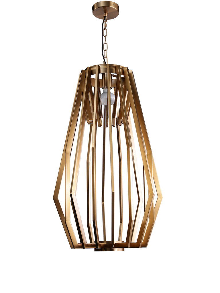 Willow Geometric Cage Hanging Light | Buy Modern Chandeliers Online India