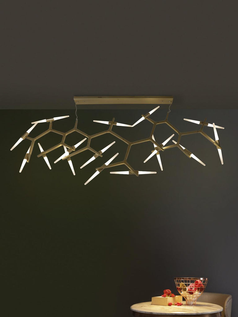 Denver | Buy Luxury Chandeliers Online in India | Jainsons Emporio Lights