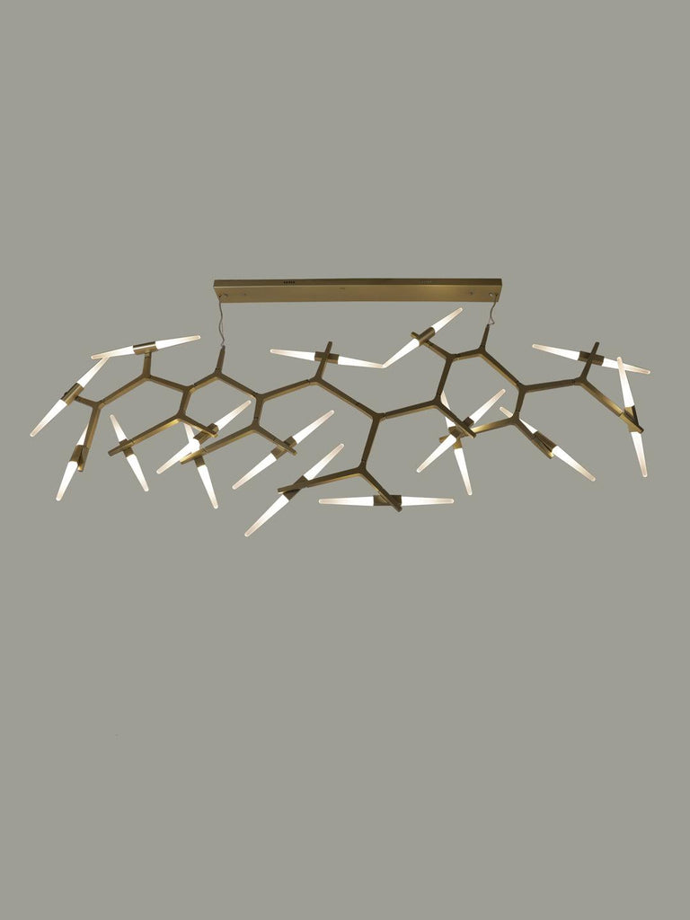 Denver | Buy Luxury Chandeliers Online in India | Jainsons Emporio Lights
