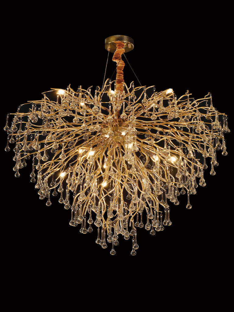 Barclay | Buy LED Chandeliers Online in India | Jainsons Emporio Lights