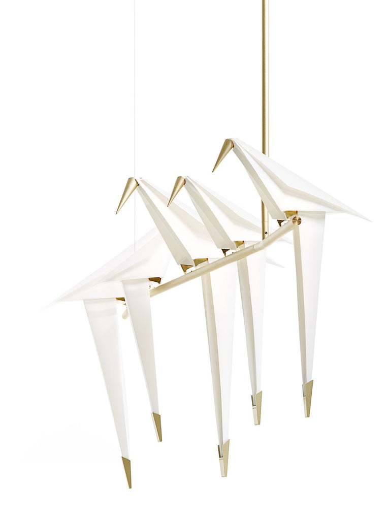 Perch Modern Chandelier | Buy Luxury Chandeliers Online India