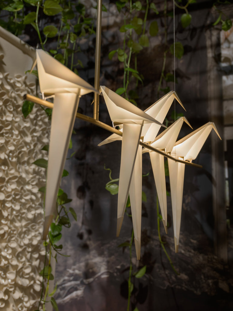 Perch Modern Chandelier | Buy Luxury Chandeliers Online India