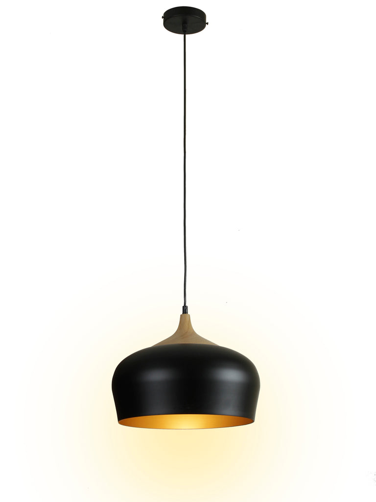 Violan Modern Pendant Light | Buy Luxury Hanging Lights Online India 