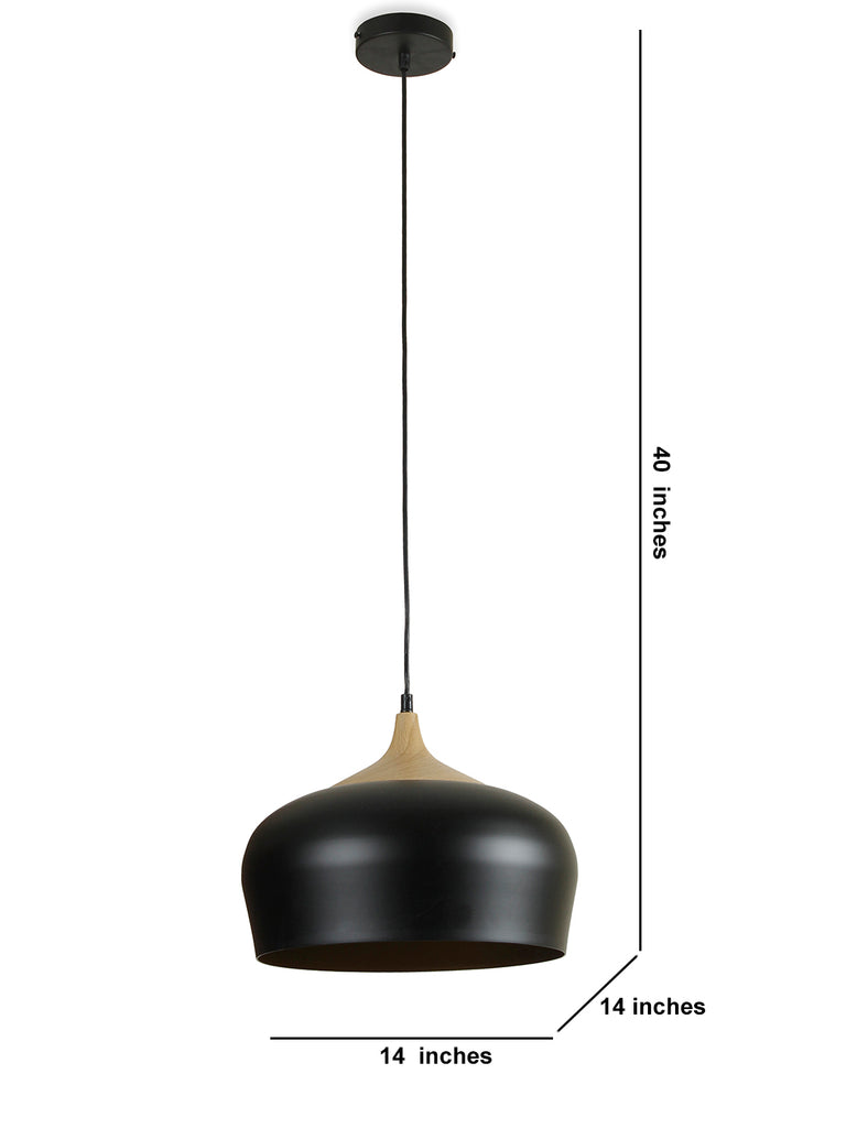 Violan Modern Pendant Light | Buy Luxury Hanging Lights Online India 