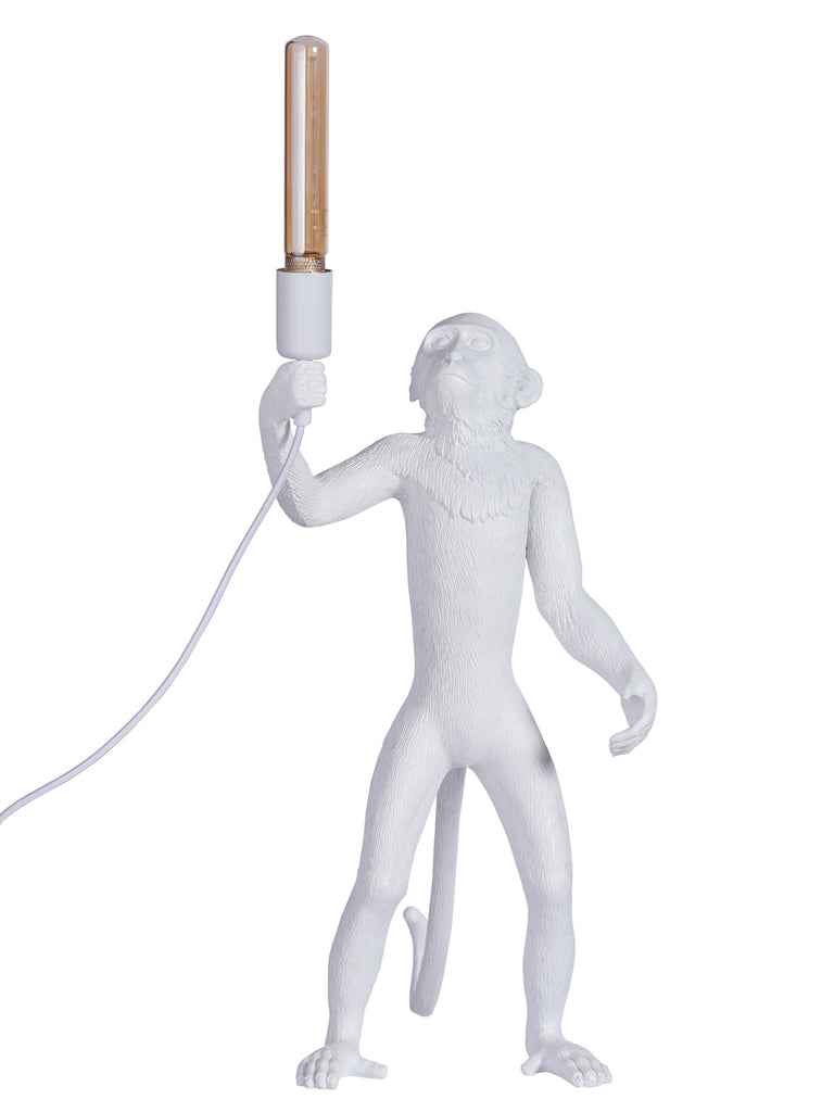 Monkey Sitting | Buy Table Lamps Online in India | Jainsons Emporio Lights