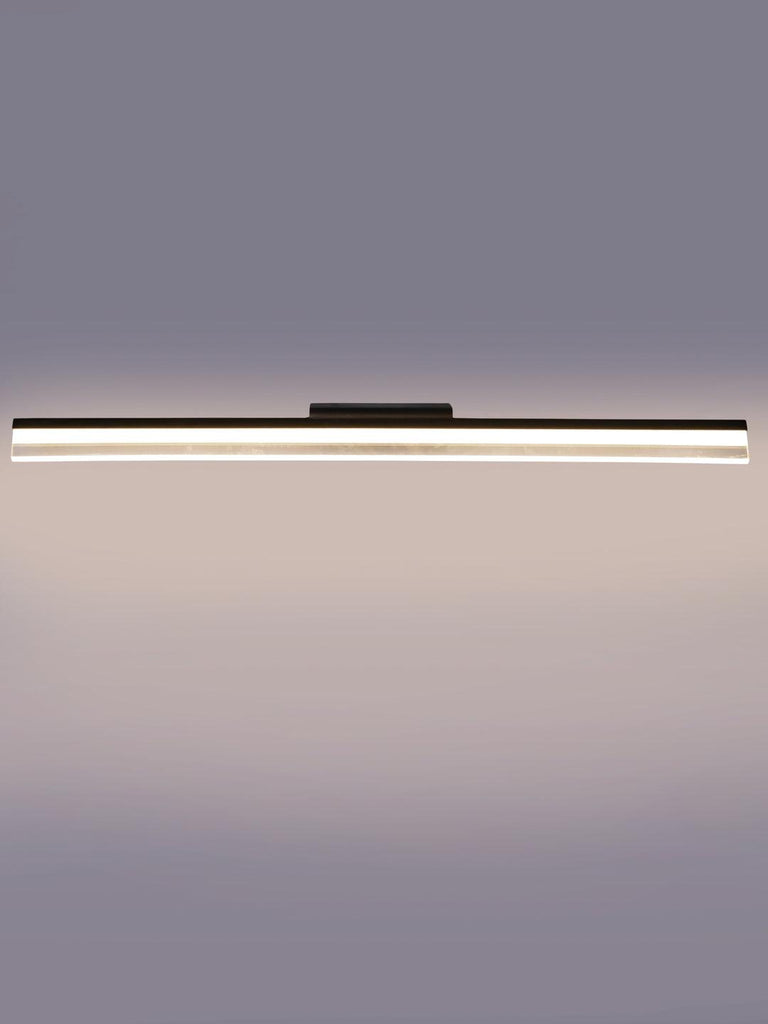 Elvis | Buy Picture Lights Online in India | Jainsons Emporio Lights